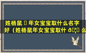 姓杨鼠 ☘ 年女宝宝取什么名字好（姓杨鼠年女宝宝取什 🦅 么名字好一点）